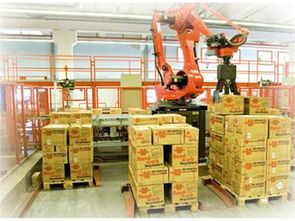 百潤機械 批發(fā)碼垛上下料機器人效果圖 批發(fā)碼垛上下料機器人