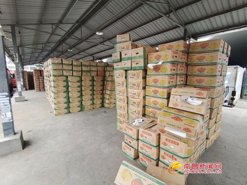 南昌最大 菜籃子 交易火熱 貨足價(jià)穩(wěn)